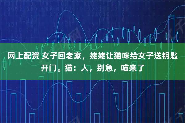 网上配资 女子回老家，姥姥让猫咪给女子送钥匙开门。猫：人，别急，喵来了